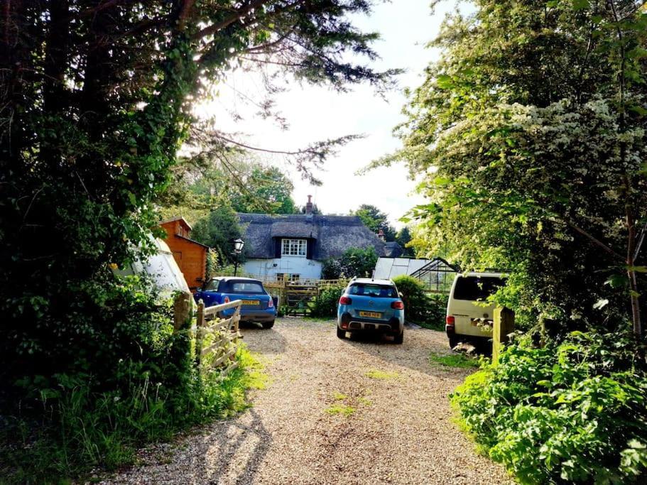 Piddle Puddle Cabin Dorchester Zewnętrze zdjęcie